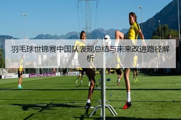 羽毛球世锦赛中国队表现总结与未来改进路径解析